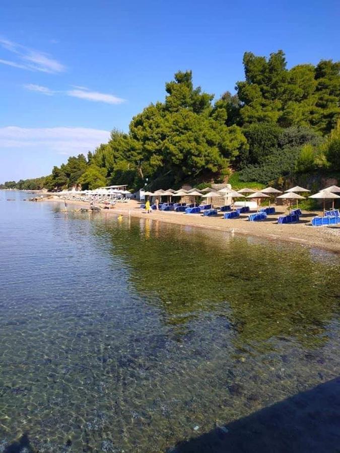 4-You Метаморфоси Экстерьер фото